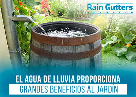Barril Para Lluvia Sistema de Colección de Agua de lluvia en Jardín